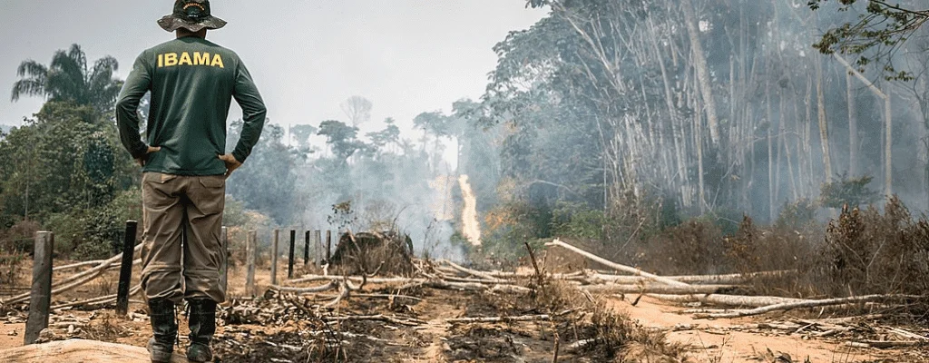 Advogado Especialista em Multa Ambiental Advogado Especialista em Multa Ambiental