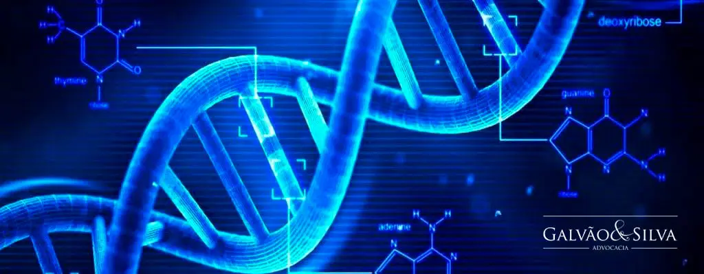 Advogado Especialista em Investigação e Reconhecimento de Paternidade Advogado Especialista em Investigação e Reconhecimento de Paternidade