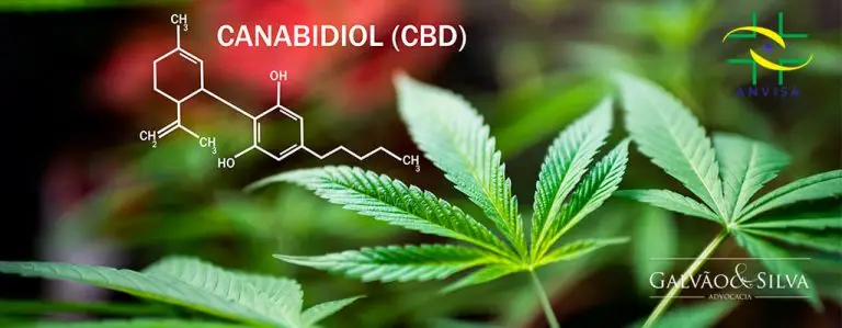 Regularização do Canabidiol Junto à ANVISA: como é Feita?