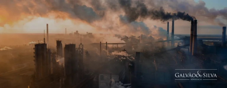 Multas de Infração Ambiental: Como Funcionam e Como Evitá-las